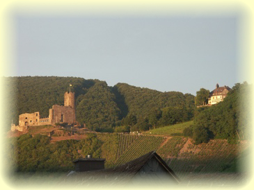 Die Burg Landshut.